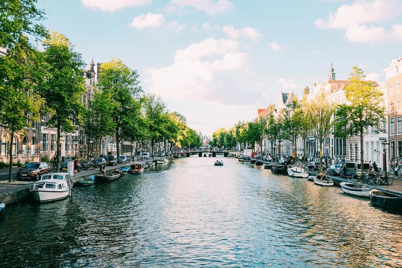 Tree-lined canal in Amsterdam